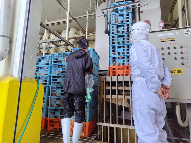 生鳥検査